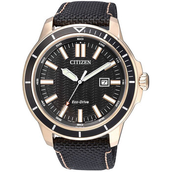 EcoDrive Black Dial Watch AW152301E