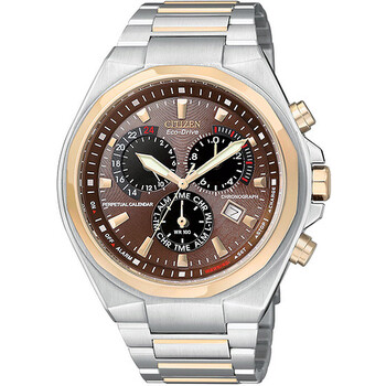 Eco Drive Perpetual Calendar Watch BL541652X