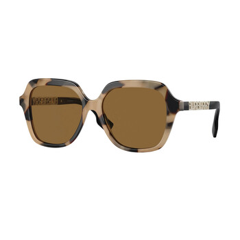 Joni Bronze Square Sunglasses BE4389 350173