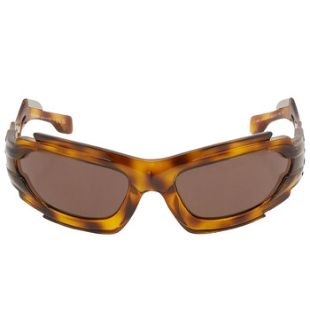 Marlowe Dark Brown Irregular Sunglasses BE4384 401373