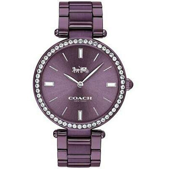 Park Quartz Crystal Purple Dial Watch