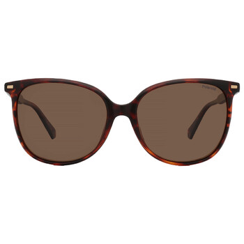 Polarized Bronze Square Sunglasses PLD 4125GS 0086SP