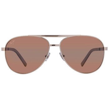 Seacliff HCL Bronze Pilot Sunglasses H83116