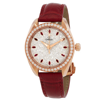 Seamaster Aqua Terra Automatic Diamond Watch 220.58.34.20.99.001