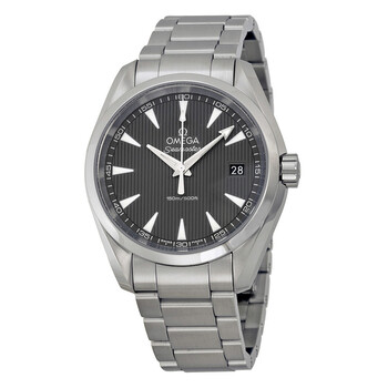 Seamaster Aqua Terra Grey Dial Watch 231.10.39.60.06.001