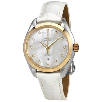 Seamaster Aqua Terra Mother of Pearl Dial Watch 231.23.34.20.55.002