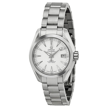 Seamaster Aqua Terra Teakopaline Silver Dial Watch 231.10.30.20.02.001