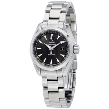 Seamaster Aqua Terra Watch 231.10.30.60.06.001