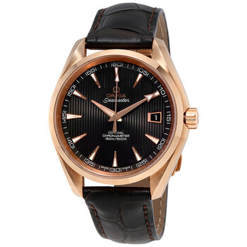 Seamaster Automatic Watch 231.53.42.21.06.001