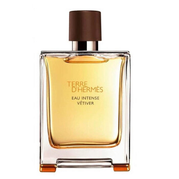 Terre DHermes Eau Intense Vetiver EDP 0.42