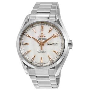 Aqua Terra CoAxial Annual Calendar Automatic Silver Dial Stainless Steel Watch 231.10.43.22.02.003