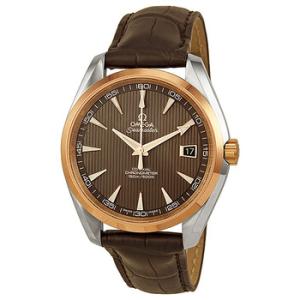 Aqua Terra CoAxial TeakGrey Dial Brown Leather Watch