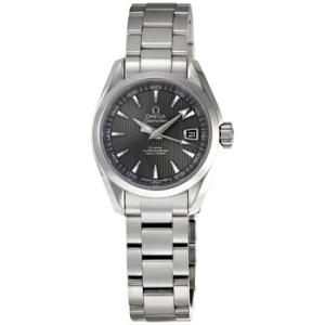 Aqua Terra Grey Dial Watch 231.10.30.20.06.001
