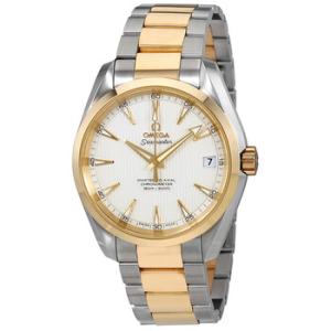 Aqua Terra Master CoAxial Silver Dial Watch 231.20.39.21.02.002