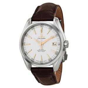 Aqua Terra Silver Dial Brown Leather Watch