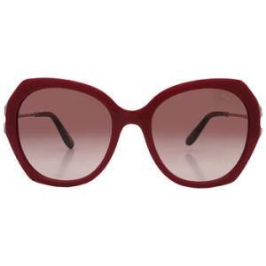 Brown Butterfly Sunglasses SCH354S 0G96