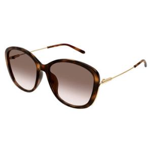 Brown Gradient Butterfly Sunglasses CH0175SK 002