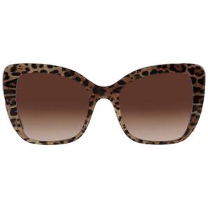 Brown Gradient Butterfly Sunglasses DG4348 316313