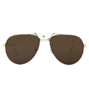 Brown Pilot Sunglasses CT0166S 005