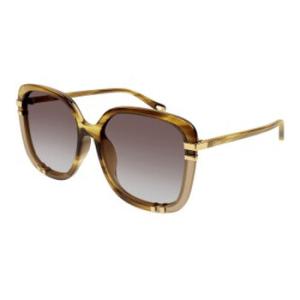 Brown Square Sunglasses CH0106SA 006