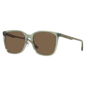 Brown Square Sunglasses EA4206D 536273