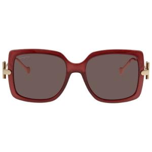 Burgundy Square Sunglasses SF913S 606