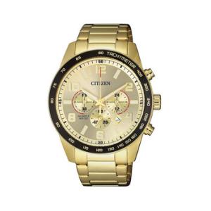 Chronograph Quartz Gold Dial Watch AN816354P