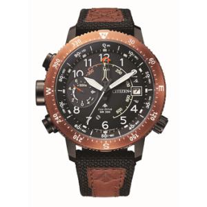 Citizen Promaster Land Black Dial Watch BN404911E