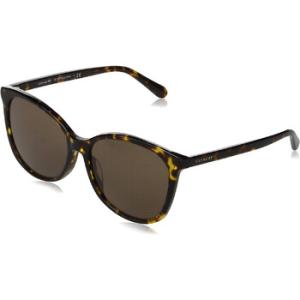 Dark Brown Square Sunglasses HC8271U 512073