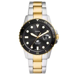 Dive Black Dial Watch FS6031