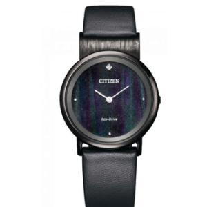 EcoDrive Black Dial Watch EG709513E