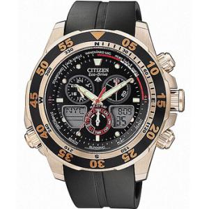 EcoDrive Promaster Black Dial Watch JR404603E