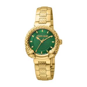 Fashion Watch Quartz Green Dial Watch RV1L190M0051