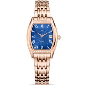 Gemma Quartz Blue Dial Watch CV2455