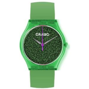 Glitter Green Dial Watch CRACR4503