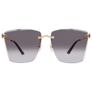 Grey Butterfly Sunglasses CT0397S 001