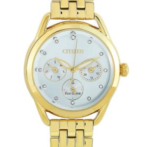 LTR Quartz Silver Dial Watch FD205258A