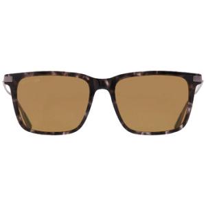 Olive Square Sunglasses L6017S 240
