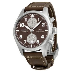 Pilots Antoine De Saint Exupery Chronograph Automatic Watch IW387806