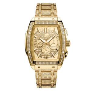 Platinum Series Goldtone Dial Watch PS570A