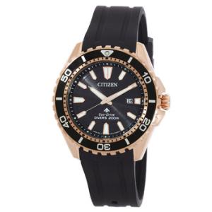 Promaster Black Dial Watch BN019317E