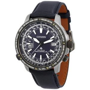 Promaster Perpetual World Time Blue Dial Watch CB020414L