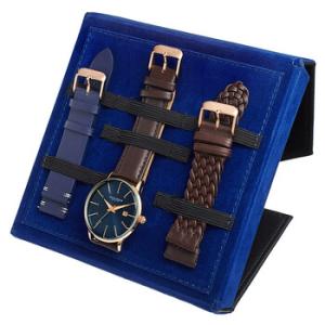 Quartz Blue Dial Watch AK1104RGBUS
