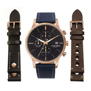 Quartz Blue Dial Watch AK1105RGBUS