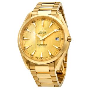 Seamaster Aqua Terra 18kt Yellow Gold Automatic Watch 231.50.42.21.08.001