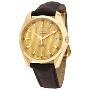Seamaster Aqua Terra Automatic 18kt Yellow Gold Watch 231.53.39.21.08.001