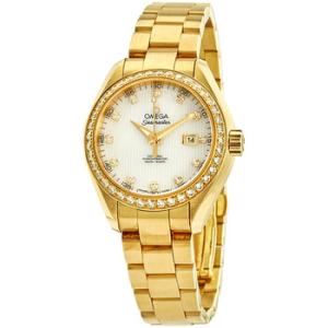 Seamaster Aqua Terra Automatic 18kt Yellow Gold Watch 231.55.34.20.55.001