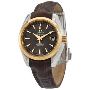 Seamaster Aqua Terra Automatic Chronometer Grey Dial Watch 231.23.30.20.06.002