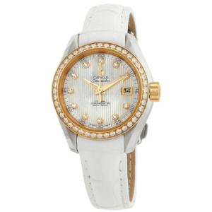 Seamaster Aqua Terra Automatic Watch 231.28.30.20.55.002