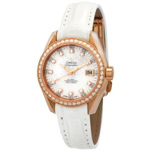 Seamaster Aqua Terra Diamond Watch 231.58.30.20.55.001